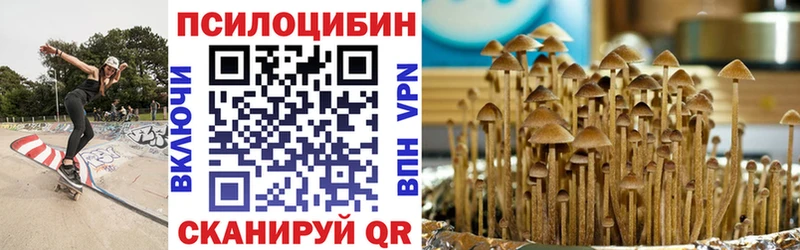 Галлюциногенные грибы мухоморы  как найти наркотики  Абакан 