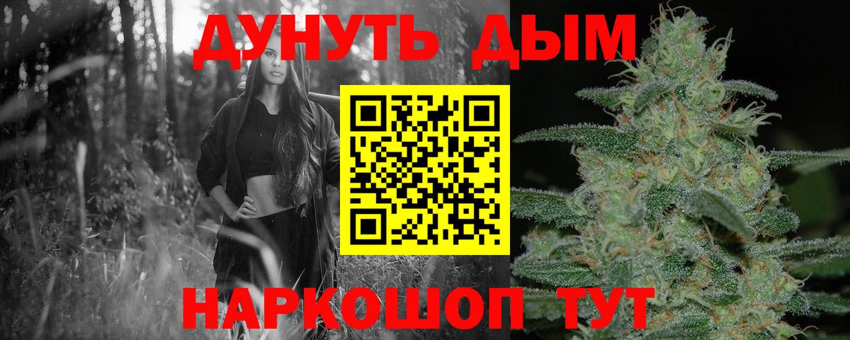 Каннабис сатива Абакан